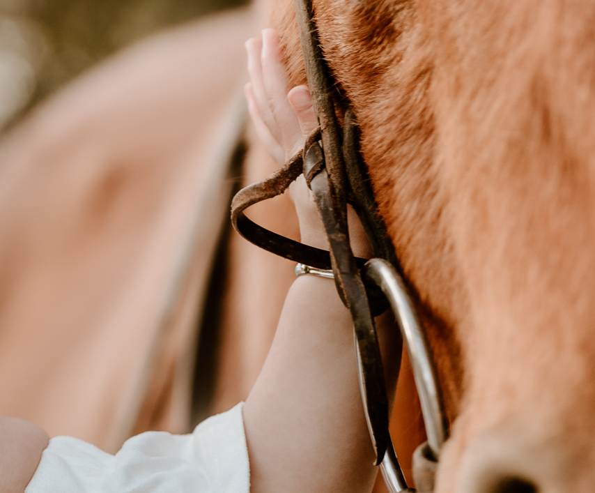Young woman's arm resting on a brown horse's jaw