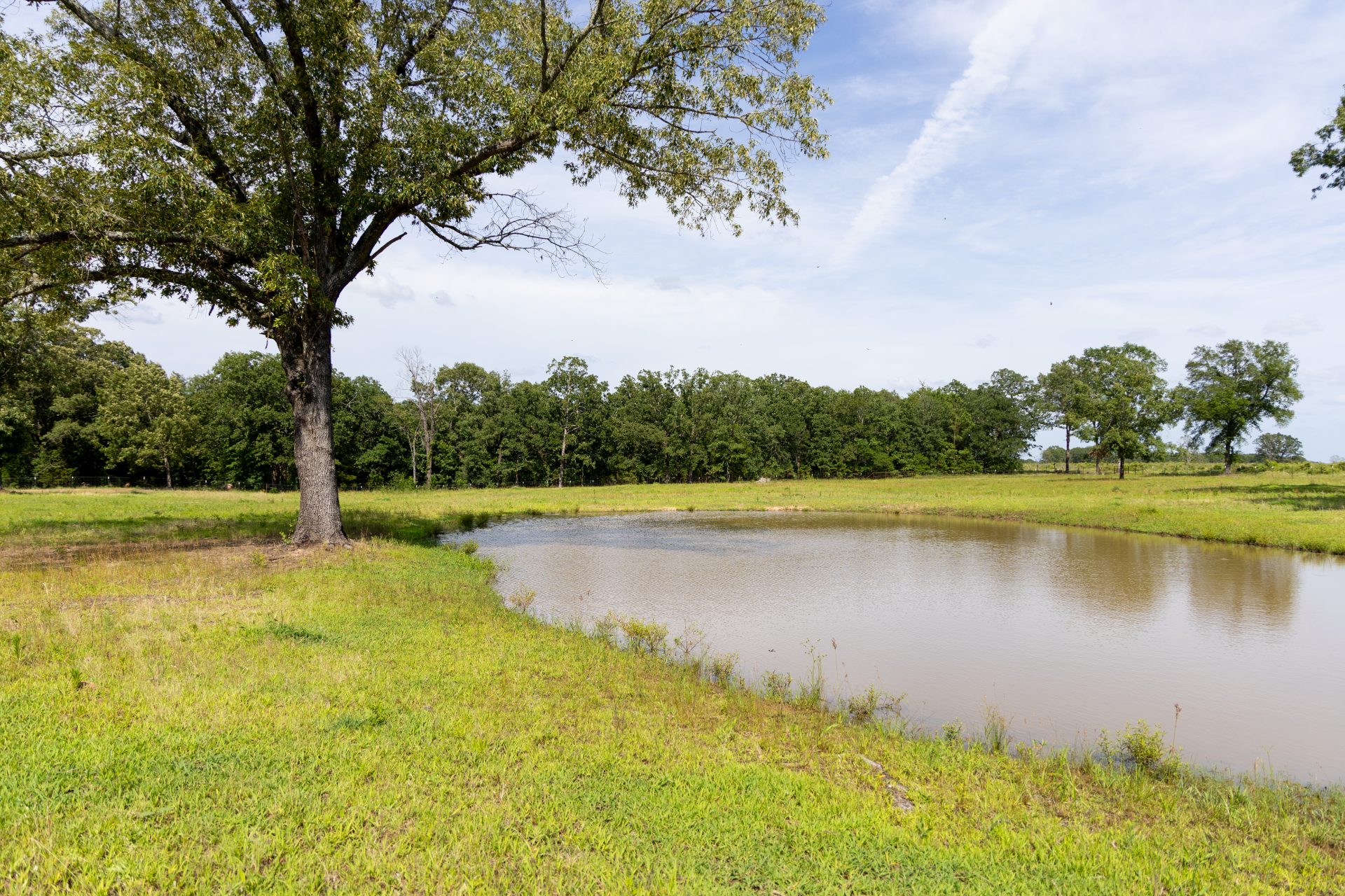 County field/pond landscape.
