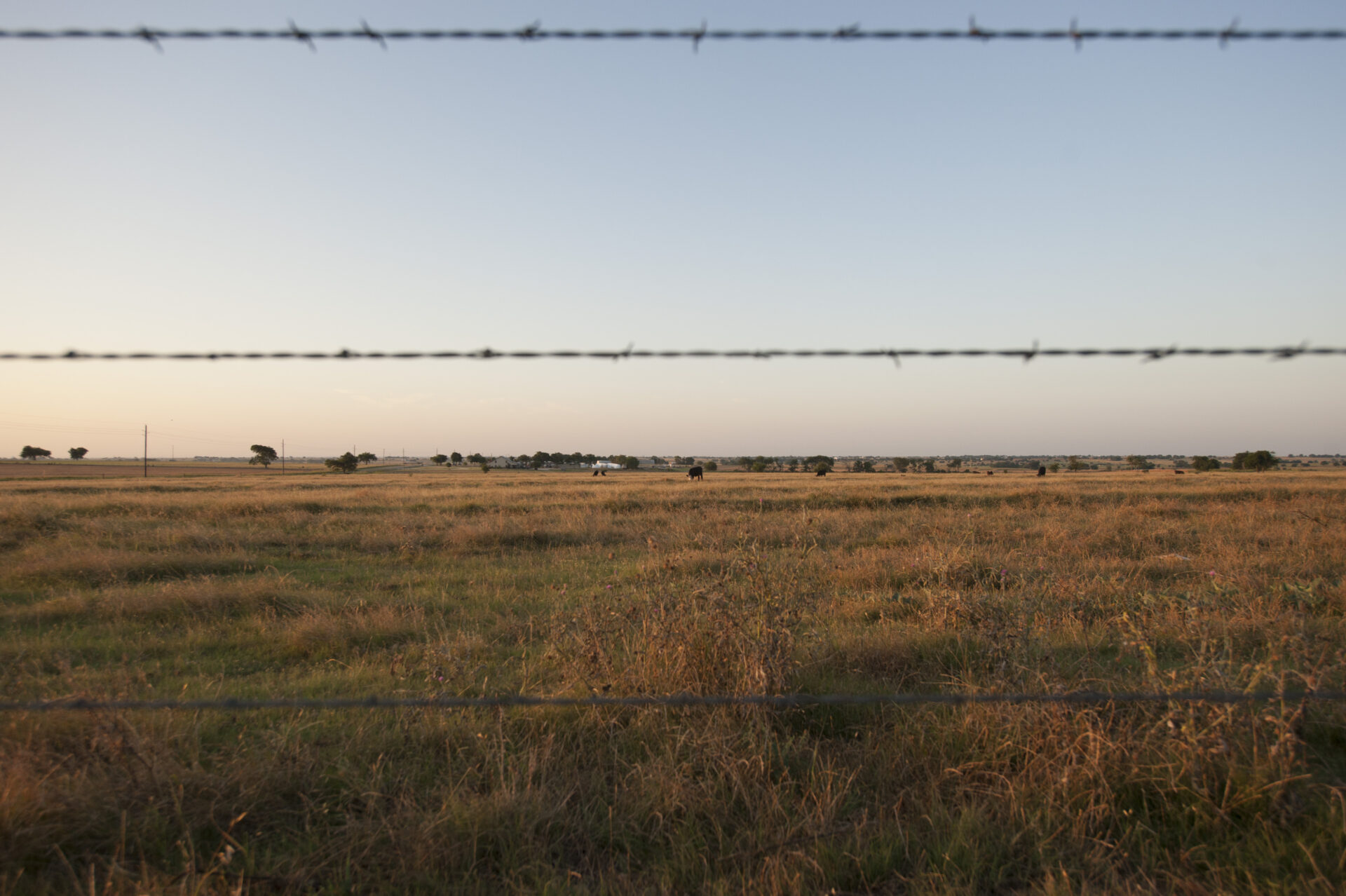 Expansive pasture with barbed wire fence