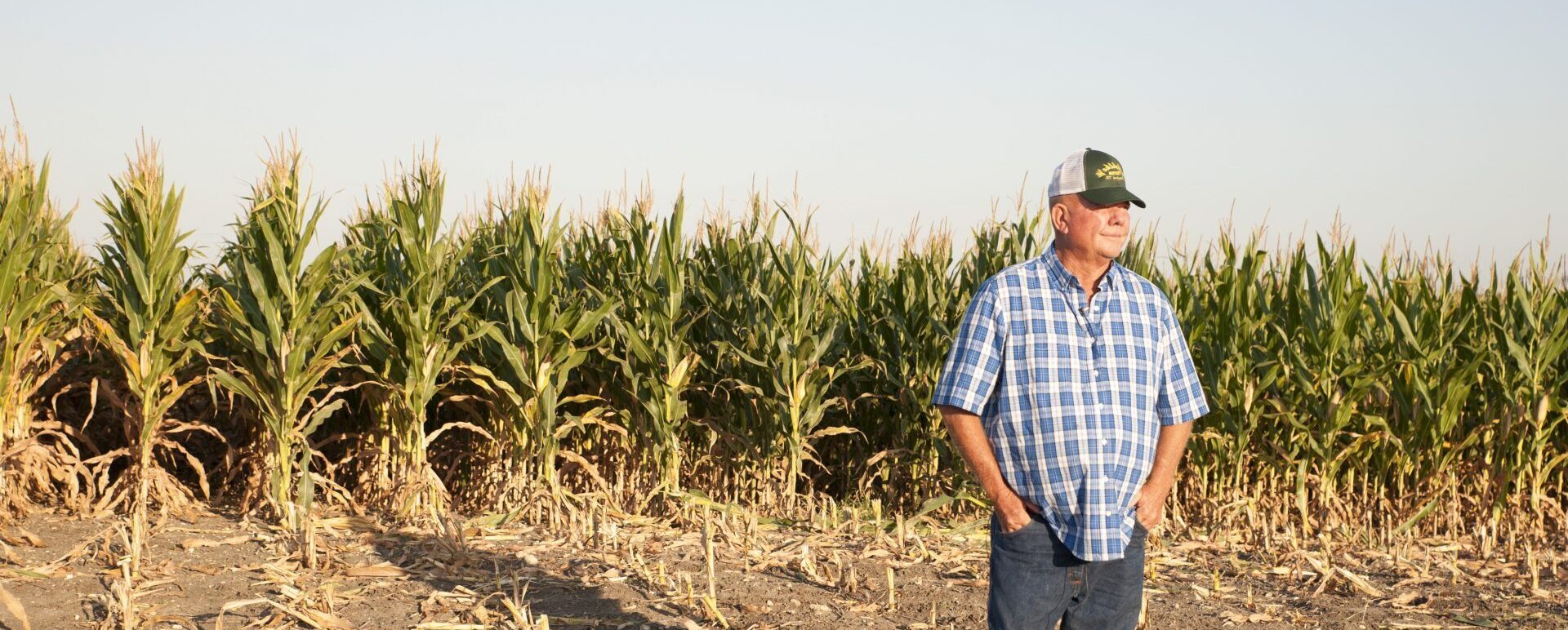 Farmer in corn field. AgTrust Farm Credit finances farms and ranches.
