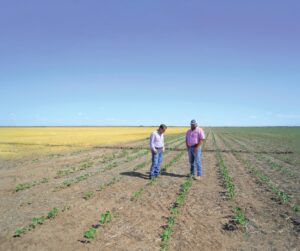 Cody Hughes, in cap, talks with Jason Jones of Lone Star Ag Credit about the difference pivot irrigation and crop rotation make for his cotton crop.