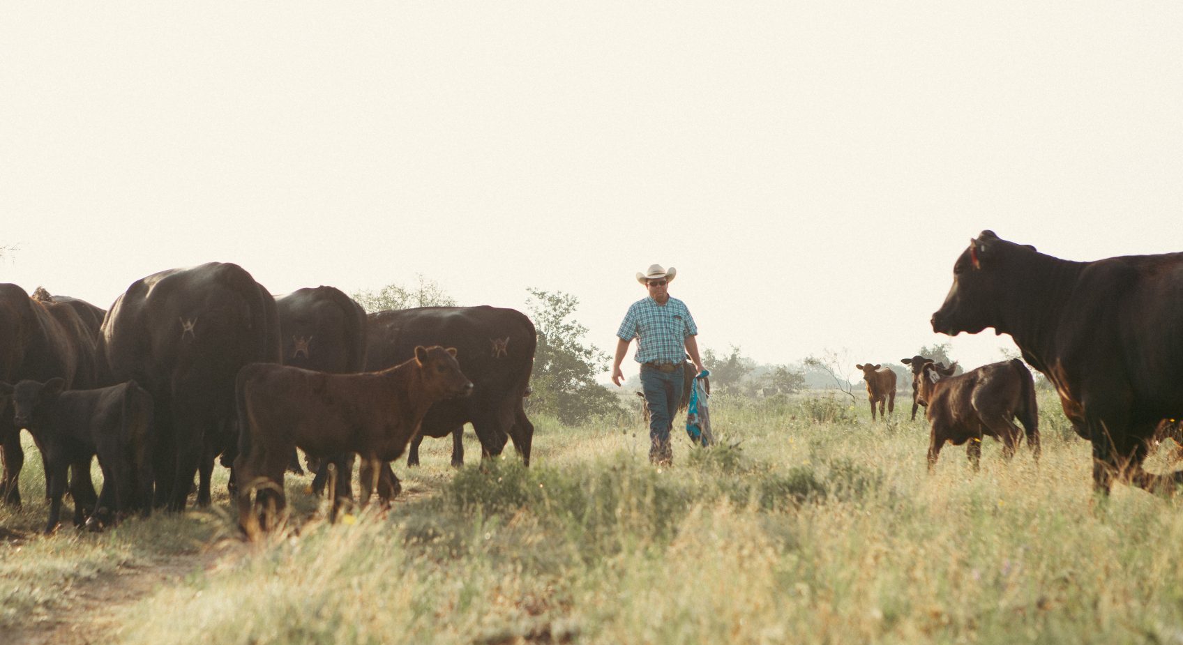 100 Years of Ranching: Meet Jake Alexander and family, A 5th Generation Texas Rancher