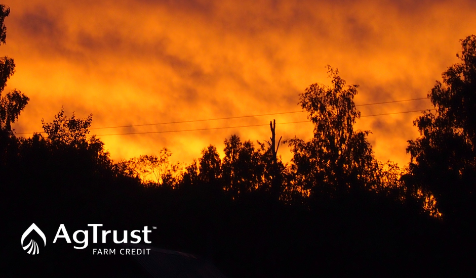 May is Wildfire Month