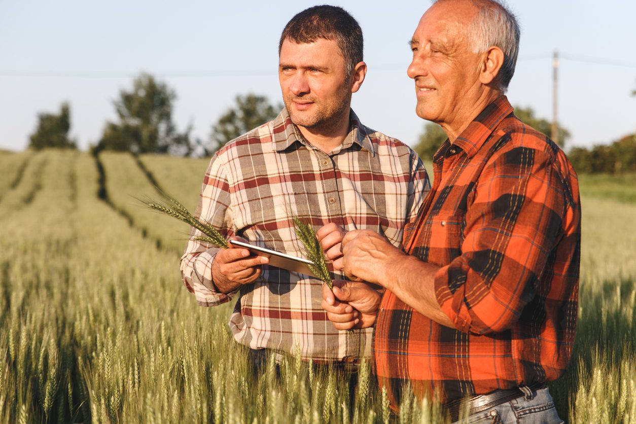 Two men in a field looking at the wheat. at AgTrust Farm Credit provides loans for young, beginning and small farmers.