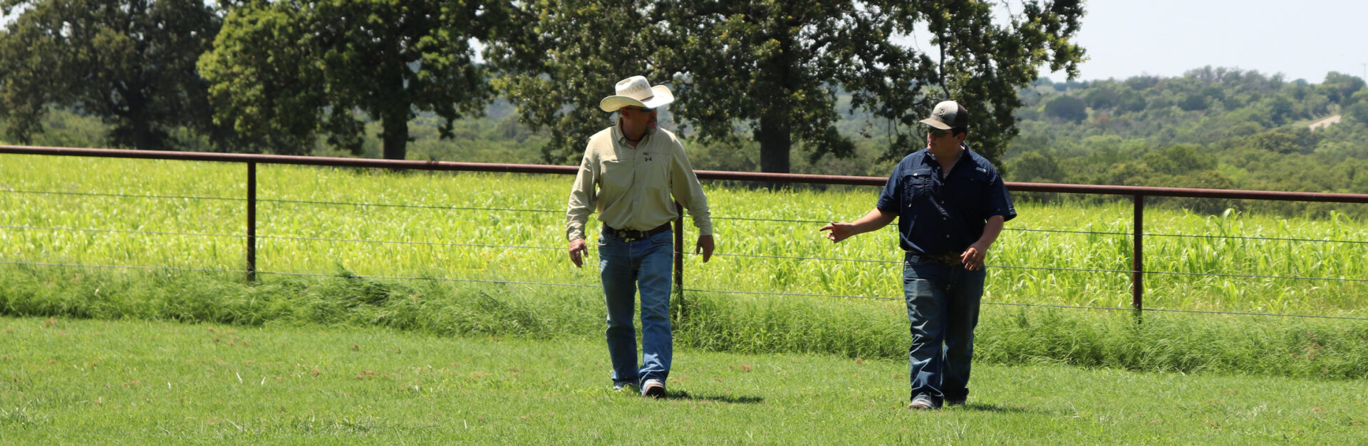 Two ranchers walking in a field of grass