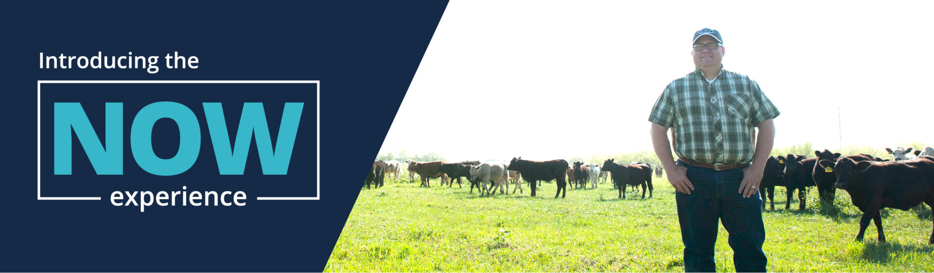 Introducing the NOW experience