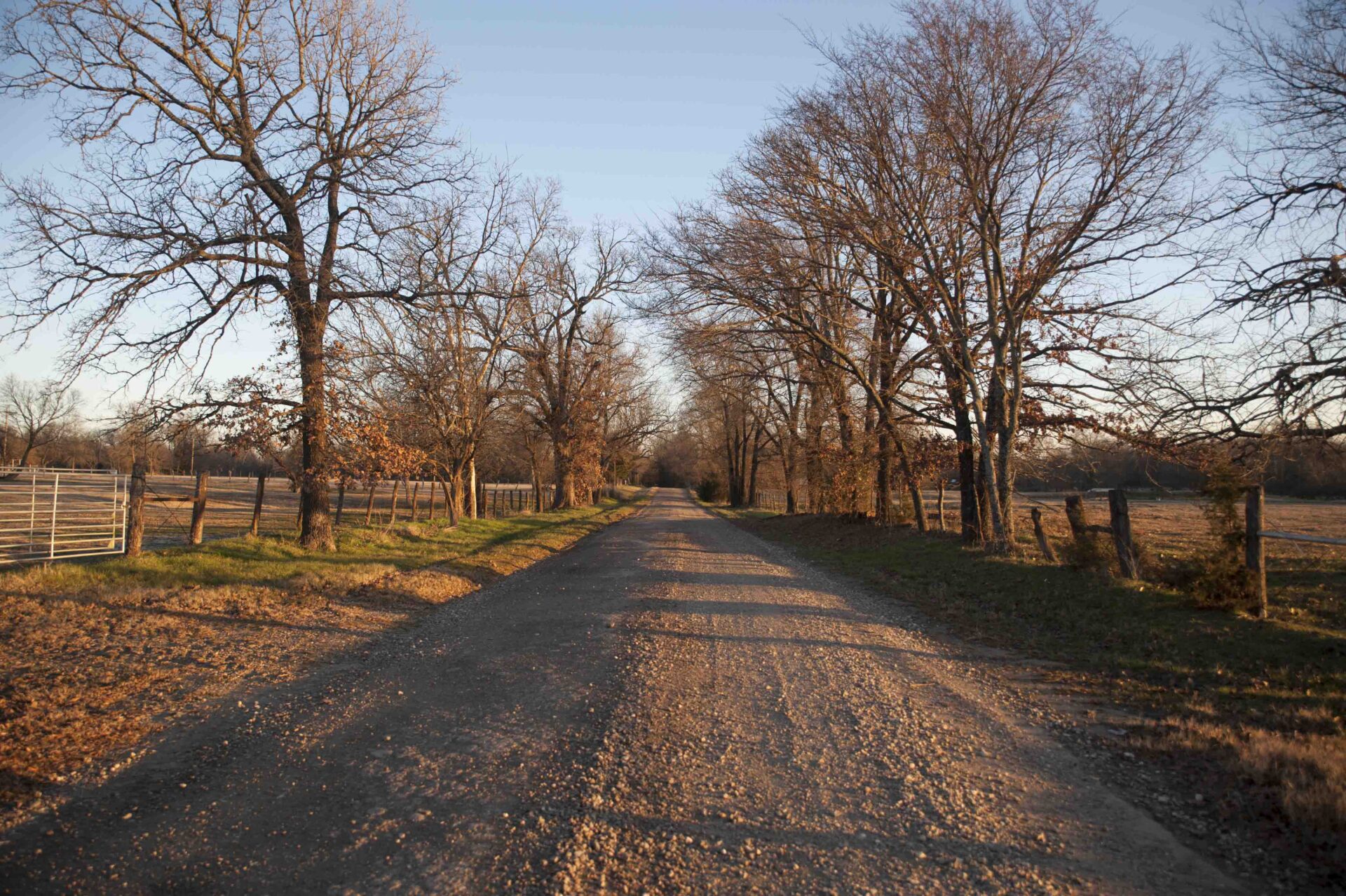 Sunrise over an East Texas road with fall foliage