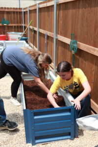 Detroit ISD FFA students working in their community garden sponsored by AgTrust Farm Credit.