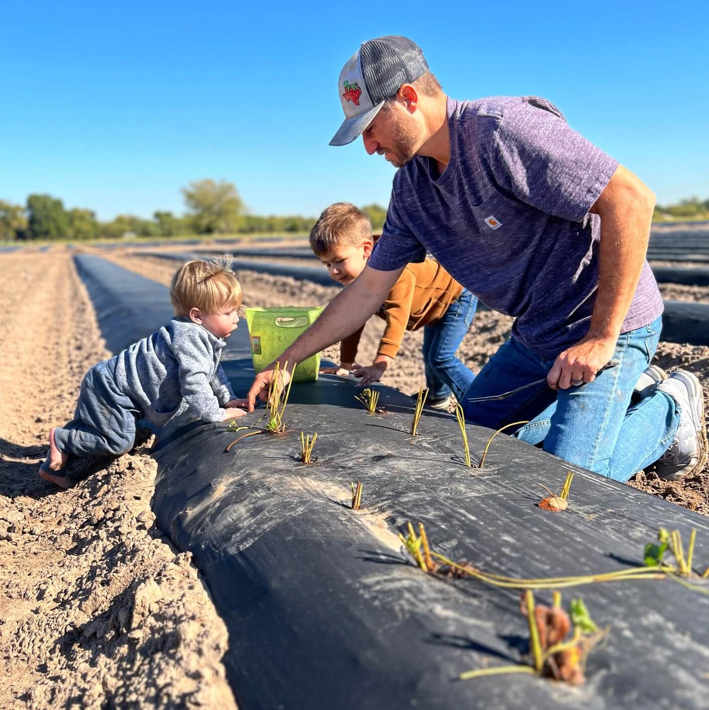 Farmer teaching children how to plant