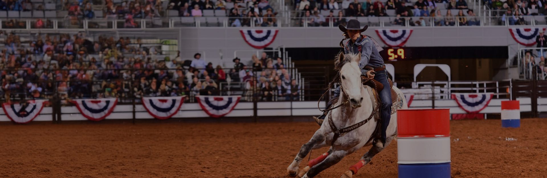 Rodeo rider and horse.
