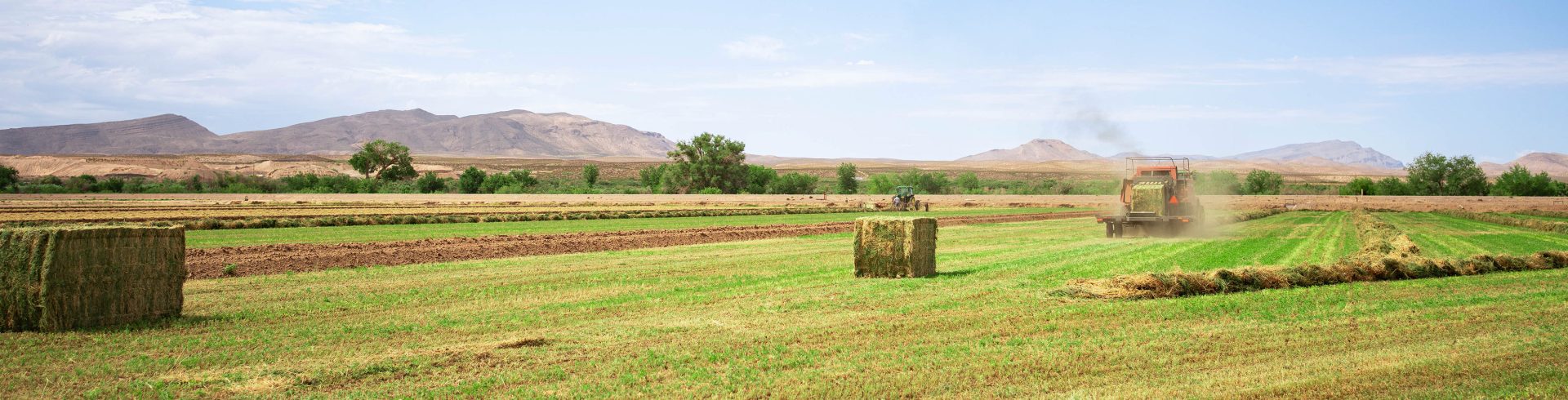 Farm landscape
