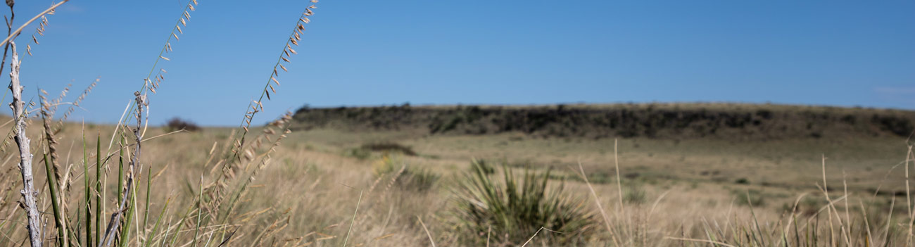 Scenic panorama of scrub land.